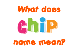 Meaning of Chip Name