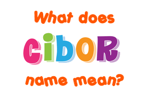 Meaning of Cibor Name