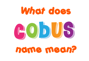 Meaning of Cobus Name