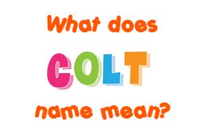 Meaning of Colt Name
