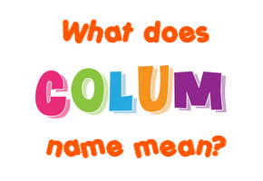 Meaning of Colum Name