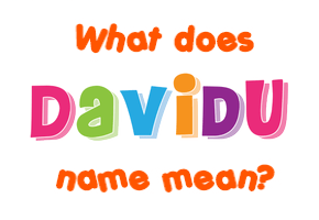 Meaning of Davidu Name