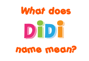 Meaning of Didi Name