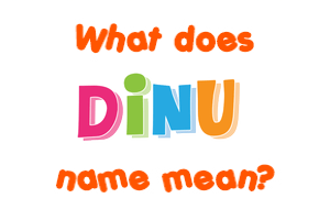 Meaning of Dinu Name
