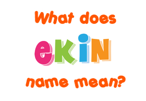 Meaning of Ekin Name