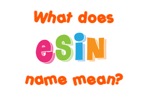Meaning of Esin Name