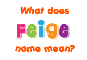 Meaning of Feige Name