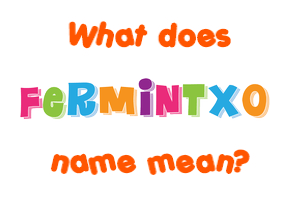Meaning of Fermintxo Name