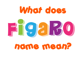 Meaning of Figaro Name