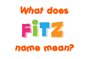 Meaning of Fitz Name