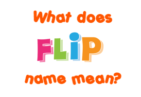 Meaning of Flip Name