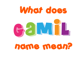 Meaning of Gamil Name