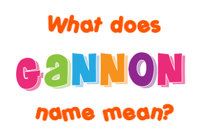 Meaning of Gannon Name