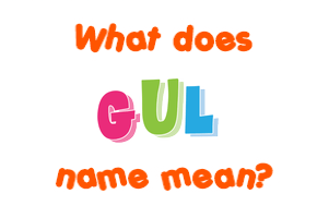 Meaning of Gul Name