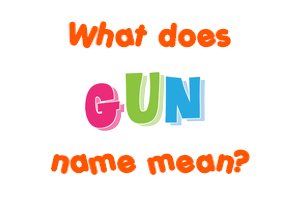 Meaning of Gun Name