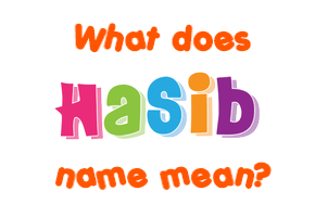 Meaning of Hasib Name