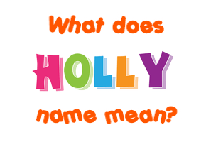 Meaning of Holly Name