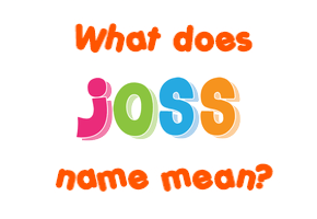 Meaning of Joss Name