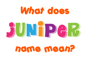 Meaning of Juniper Name