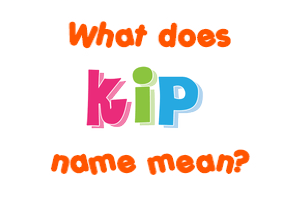 Meaning of Kip Name
