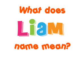 Meaning of Liam Name