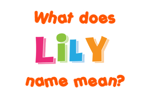 Meaning of Lily Name