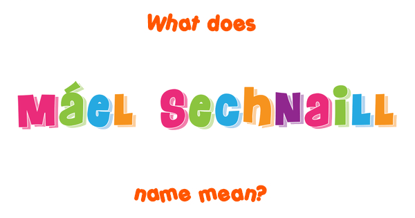 Máel Sechnaill name Meaning of Máel Sechnaill