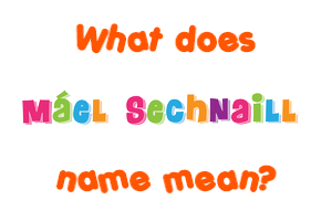 Meaning of Máel Sechnaill Name