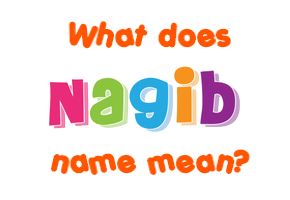 Meaning of Nagib Name