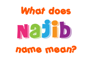 Meaning of Najib Name