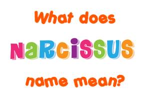 Meaning of Narcissus Name