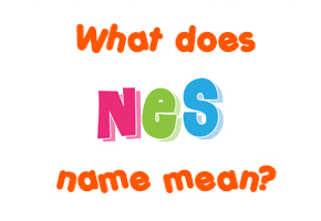 Meaning of Nes Name