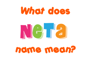 Meaning of Neta Name