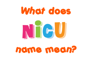 Meaning of Nicu Name