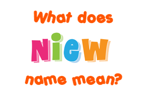 Meaning of Niew Name
