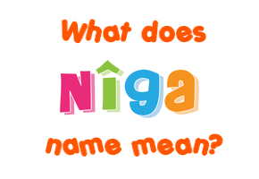 Meaning of Nîga Name