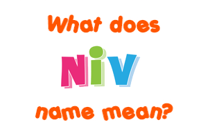 Meaning of Niv Name