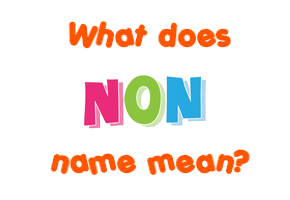 Meaning of Non Name