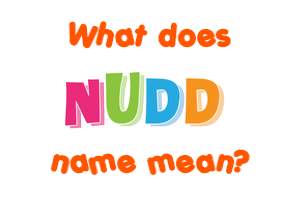 Meaning of Nudd Name
