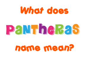 Meaning of Pantheras Name