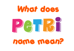 Meaning of Petri Name