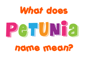 Meaning of Petunia Name