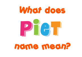 Meaning of Piet Name