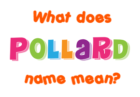 Meaning of Pollard Name