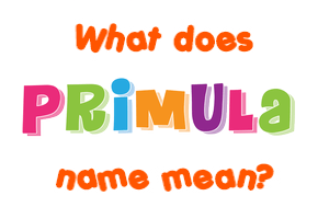 Meaning of Primula Name