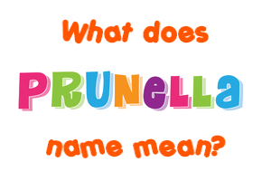 Meaning of Prunella Name