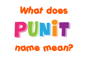 Meaning of Punit Name