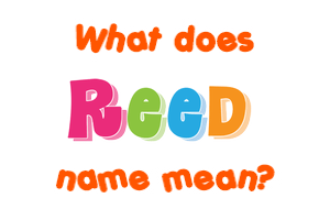 Meaning of Reed Name