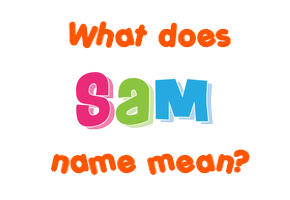 Meaning of Sam Name