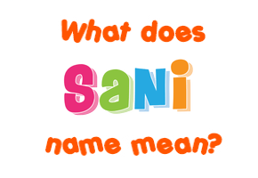 Meaning of Sani Name
